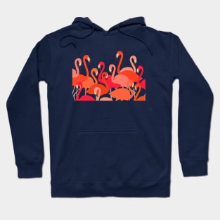 Pink flamingos Hoodie